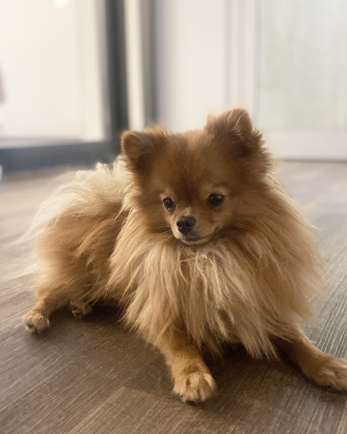 BALU